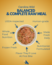 Load image into Gallery viewer, Benefits of Carolina Wild Raw Dog Food shown against yellow background