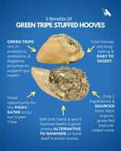 Load image into Gallery viewer, Infographic about the benefits of green tripe stuffed cow hooves for dogs, with a blue background and text.