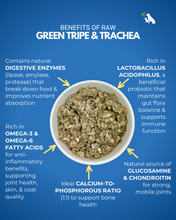 Load image into Gallery viewer, Benefits of raw green tripe and trachea on a blue background with text and arrows pointing to the bowl.
