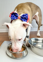 Load image into Gallery viewer, Dog wearing a patriotic bow tie eating Carolina Wild Raw Dog Food from a metal bowl