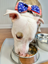 Load image into Gallery viewer, Dog wearing American flag bow tie eating raw dog food from a metal bowl