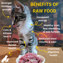 Load image into Gallery viewer, Cat eating raw food with text highlighting benefits of raw food for cats