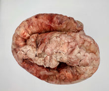 Load image into Gallery viewer, Close-up of whole raw cow trachea for dogs, shown again white background