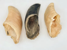 Load image into Gallery viewer, Raw Cow Hooves