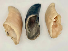 Load image into Gallery viewer, Three raw cow hooves dog chews for dogs, visible against a white background
