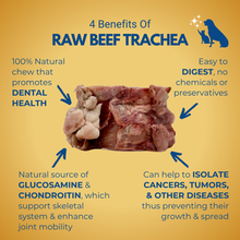 Load image into Gallery viewer, Infographic about the benefits of raw beef trachea as a natural dog chew or bone
