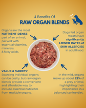 Load image into Gallery viewer, Infographic detailing the benefits of raw organ blends for dogs on a yellow background

