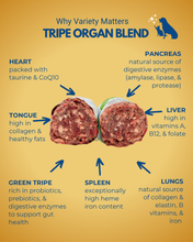 Load image into Gallery viewer, Tripe organ blend infographic with labeled benefits of each organ on a yellow background
