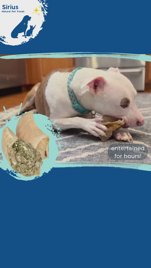 Dog shown on floor chewing raw cow hoof while text shows benefits of this chew for dogs